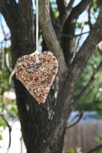 Bird Seed Craft