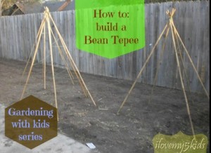 How to build a Bean Tepee @loving5kids