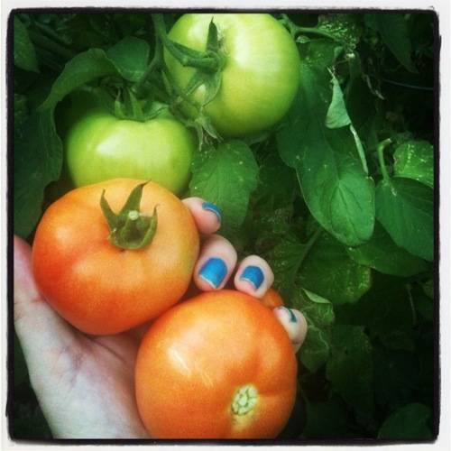 Fresh Tomatoes e Blue Polish @loving5kids