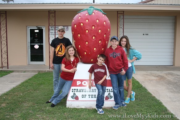 World's Largest Strawberry