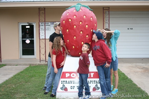 World's Largest Strawberry ilovemy5kids