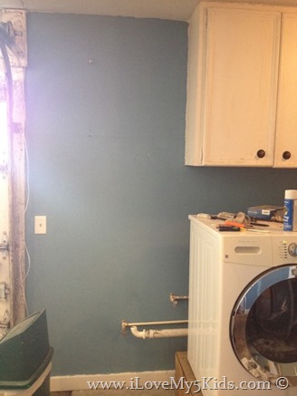Laundry Room Blue