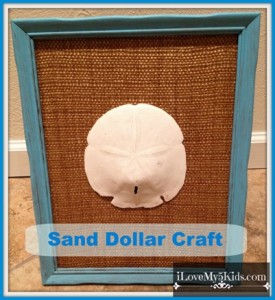 Sand Dollar Craft