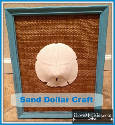 50 Best Sand Dollar Crafts ideas  sand dollar craft, sand dollar