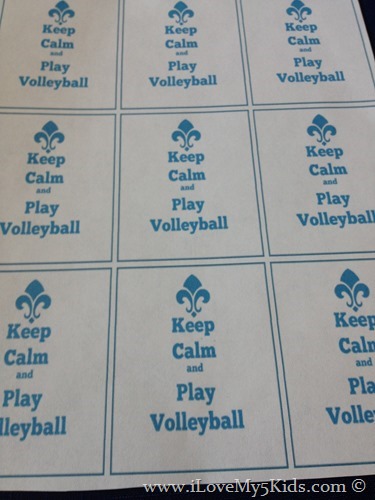 Volleyball Party Free Printables