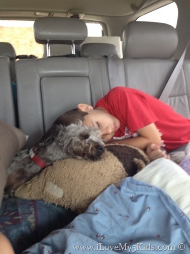 Moving5kids and sleeping dog