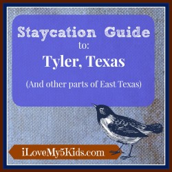 Staycation Guide Tyler Texas