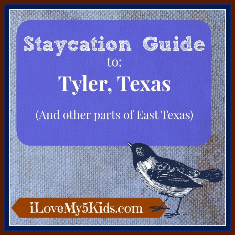 Staycation Ideas Tyler Texas