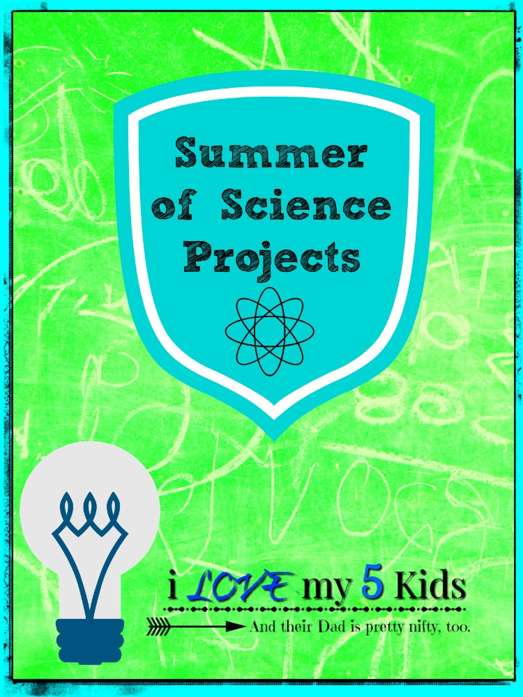 summer of science projects