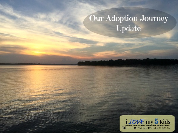Adoption Journey Update 1