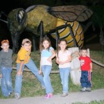 World's Largest Killer Bee