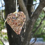 Bird Seed Craft