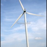 Wind Farm in Texas