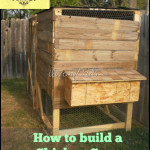 How to build a Chicken Coop out of Fence Boards