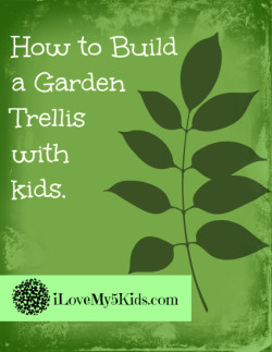 How to build a garden trellis with kids