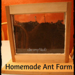 Homemade Ant Farm