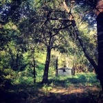 Childhood home