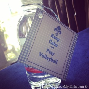 Keep Calm and Play Volleyball Free Printable