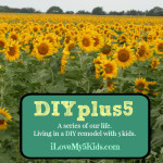 DIYplus5