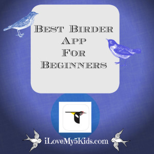 Best Birder App for Beginners