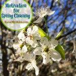 Motivation for Spring Cleaning